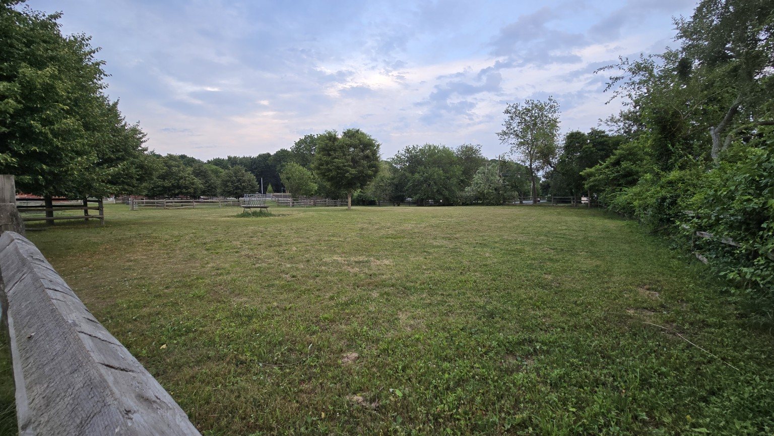 Open field on the farm